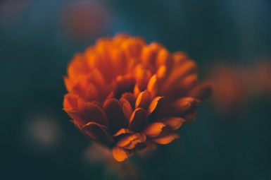 photo-1444508171337-7e9a94250602